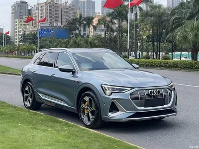 2021 Audi e-tron 50 quattro Exclusive Selection, фото 4, лот 11182498