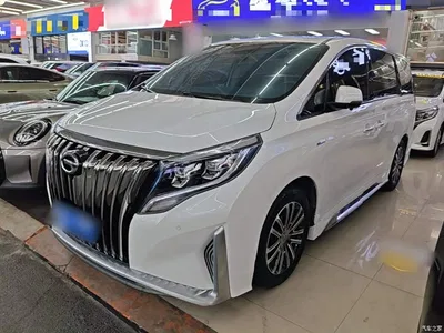 2021 GAC Trumpchi Trumpchi M8 Master Series 390T Prestige Edition, фото 1, лот 11081703