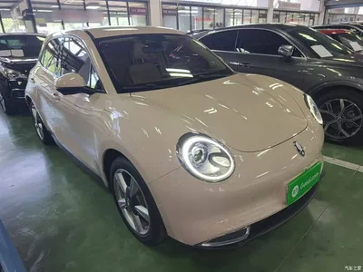 2021 Ora Good Cat 400km Standard Range Athena Edition (LFP), фото 4, лот 10478812