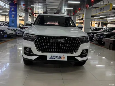 2023 Haval H6 National Trend Edition 1.5T Automatic Champion, фото 2, лот 10296953