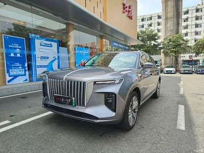 2022 Hongqi E-HS9 690km Qi Xiang Edition (6-seater), фото 1, лот 10287934