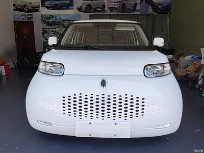 2020 Ora White Cat 305km Luxury, фото 3, лот 10330761