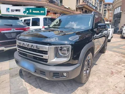 2024 Haval Big Dog 2.0T DCT Chinese Rural Dog Edition, фото 1, лот 10680045