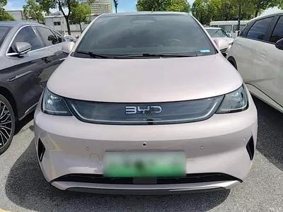 2025 BYD Dolphin Smart Drive Edition 410km Fashion Version, фото 3, лот 10264172