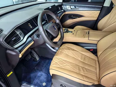 2024 Denza D9 DM-i 1050 Premium, фото 4, лот 10350995