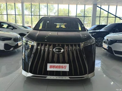 2023 GAC Trumpchi Trumpchi M8 Model Master Series 400T Ultimate Edition, фото 2, лот 10440875