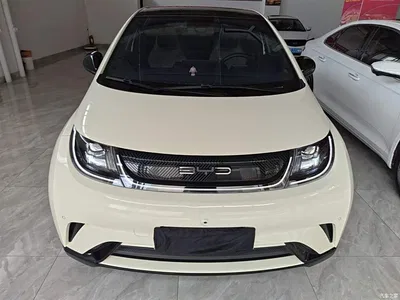 2023 BYD Dolphin 420km Fashion Edition, фото 3, лот 10264398