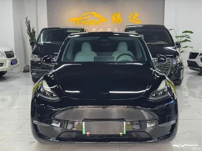 2022 Tesla Model Y Rear-Wheel Drive Version, фото 2, лот 11241792