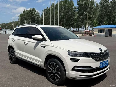 2022 Škoda Karoq TSI280 Premium Edition, фото 4, лот 10348440