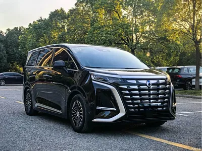 2024 Denza D9 DM-i 980 AWD Prestige, фото 3, лот 11098825