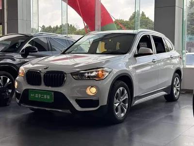 2019 BMW X1 New Energy xDrive25Le Range Upgrade Edition, фото 2, лот 10475372