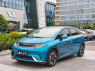 2021 BYD Dolphin Model 405km Fashion Edition, фото 1, лот 10254557