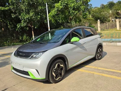 2021 BYD Dolphin 401km Knight Edition, фото 1, лот 10841975