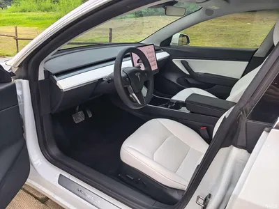 2019 Tesla Model 3 Standard Range Rear-Wheel Drive Upgrade, фото 4, лот 10398950