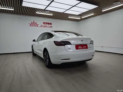 2019 Tesla Model 3 Standard Range Rear-Wheel Drive Upgrade, фото 4, лот 10346185