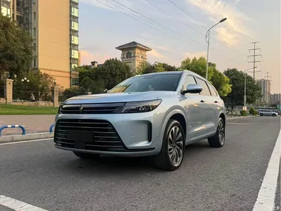 2022 AITO Wenjie AITO M7 1.5T AWD Luxury Edition, фото 1, лот 10276677