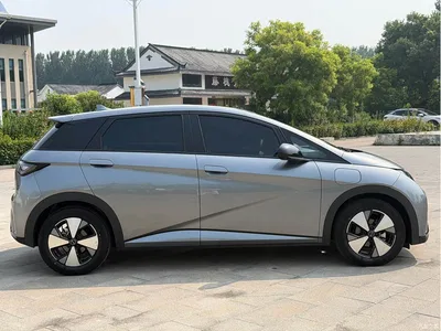 2024 BYD Dolphin Glory Edition 420km Freedom Edition, фото 4, лот 10254663