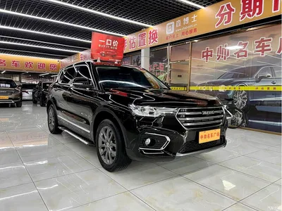 2019 Haval H7 2.0T YueXiang (China VI), фото 3, лот 11007841