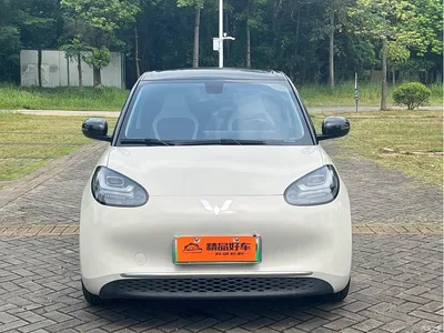 2024 Wuling Motors Wuling Bingo 410km Smart Premium Edition, фото 2, лот 11073471