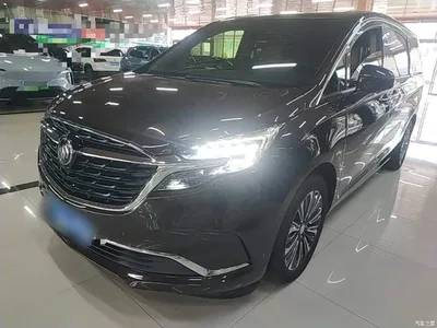 2021 Buick GL8 ES Landlord 653T Luxury, фото 2, лот 10672373