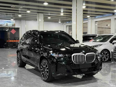 2023 BMW X5 xDrive 40Li M Sport Black Night Package, фото 3, лот 10462663