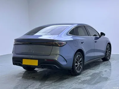 2024 BYD Seal 06 New Energy DM-i 80KM Prestige, фото 4, лот 10274810
