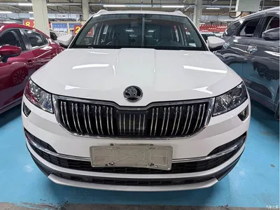 2019 Škoda Karoq TSI280 Smart Drive Luxury Edition China VI, фото 2, лот 10349283
