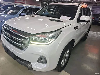 2020 Haval H9 2.0T Gasoline 4WD Premium 5-Seater, фото 1, лот 10955505