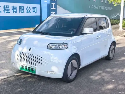 2020 Ora White Cat 360km Standard Model, фото 1, лот 11179185