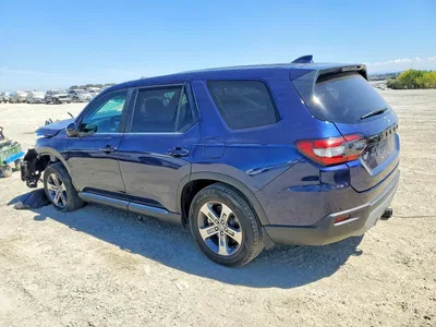 2024 HONDA PILOT EXL, фото 2, лот 10710919
