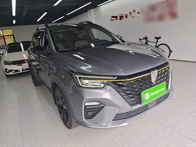2020 Roewe RX5 PLUS 300TGI Auto Ali Guochao Flagship Edition, фото 4, лот 10340526
