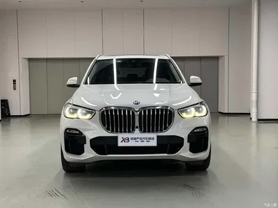 2021 BMW X5 (Import) xDrive40i M Sport Package, фото 3, лот 11451993