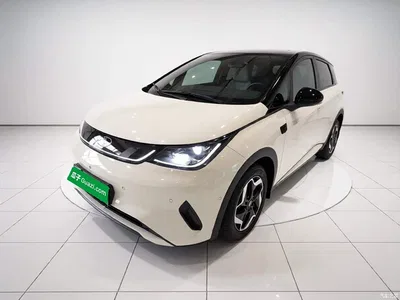 2025 BYD Dolphin Smart Drive Edition 420km Freedom Version, фото 2, лот 10264037