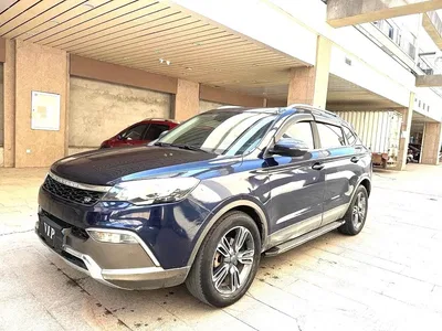 2017 Leopaard CS10 2.0T Manual Excellence, фото 1, лот 11644023