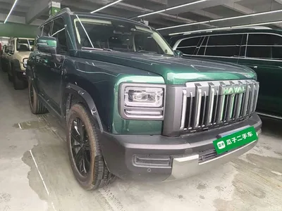 2025 Haval Menglong 2.0T 4WD Ultra, фото 4, лот 10284261