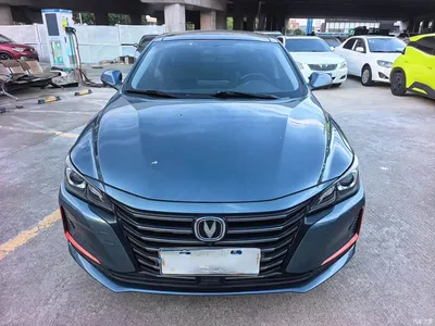 2021 Changan Ruicheng CC Blue Whale Edition 1.5T DCT Premium, фото 2, лот 10274596