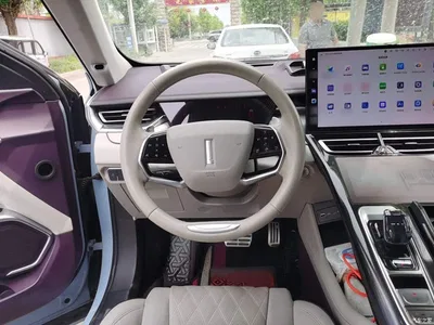 2021 WEY Mocha 2.0T 2WD Premium Edition, фото 3, лот 11152155