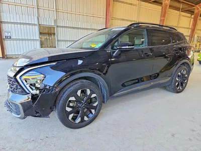 2024 KIA SPORTAGE X LINE, фото 1, лот 10779477