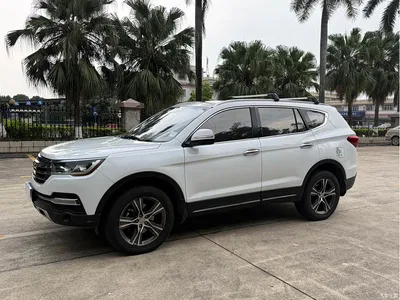 2017 Lifan X80 2.0T Automatic Comfort Type, фото 1, лот 11155332