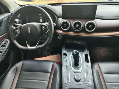 2020 WEY VV5 1.5T 2WD Style Pioneer, фото 4, лот 10402125