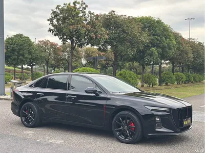 2025 Hongqi H5 2.0T Automatic Mystic Shadow, фото 3, лот 11582793