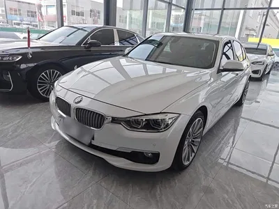 2019 BMW 3 Series 320Li Fashion Type, фото 1, лот 10458092