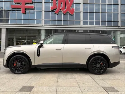 2025 Lynk & Co 900 2.0T Ultra, фото 3, лот 10443343
