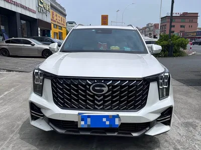 2025 GAC Trumpchi Trumpchi GS8 Pilot Series 2.0TGDI 2WD Luxury Edition 5-seater, фото 2, лот 11088691