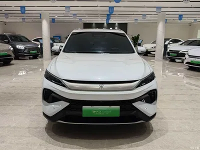 2025 BYD Song Pro New Energy 2nd Generation Smart Driving Edition DM-i 115KM Excellence Type, фото 2, лот 10274672