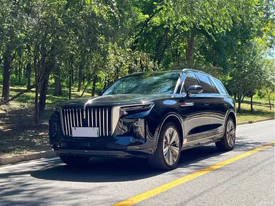 2022 Hongqi E-HS9 690km Qi Xiang Edition (6-seater), фото 1, лот 10289036