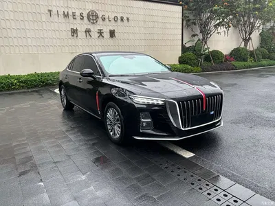 2024 Hongqi H5 2.0T Automatic Smart Connect Flag Smooth Edition, фото 2, лот 10285676