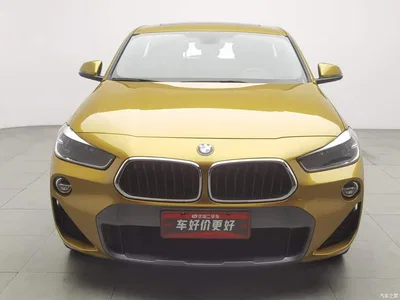 2018 BMW X2 (Import) sDrive25i Luxury M Off-Road Package China V, фото 3, лот 11448705
