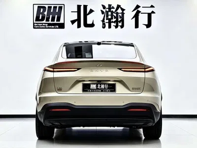 2025 Ledao L60 model 60kWh AWD version, фото 4, лот 10826651