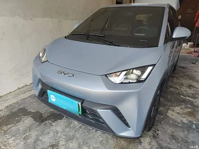 2024 BYD Seagull Glory Edition 305km Freedom Edition, фото 2, лот 10262997
